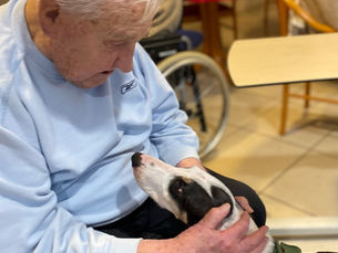 Mardi 27 janvier, les résidents ont eu le plaisir de recevoir la visite de l’association "Cœur sur la Patte". Comme toujours, ce moment de partage et de tendresse a apporté beaucoup de joie et de sour