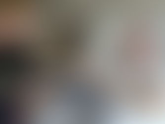 La médiation animale au cœur des soins palliatifs