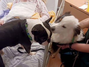 Première séance pour Coockie et Frédérique au sein de l’équipe
