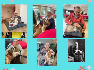 EHPAD Emile Dubois Marchiennes avec Merlin Maddie Nala Prince Nevy et Plume
