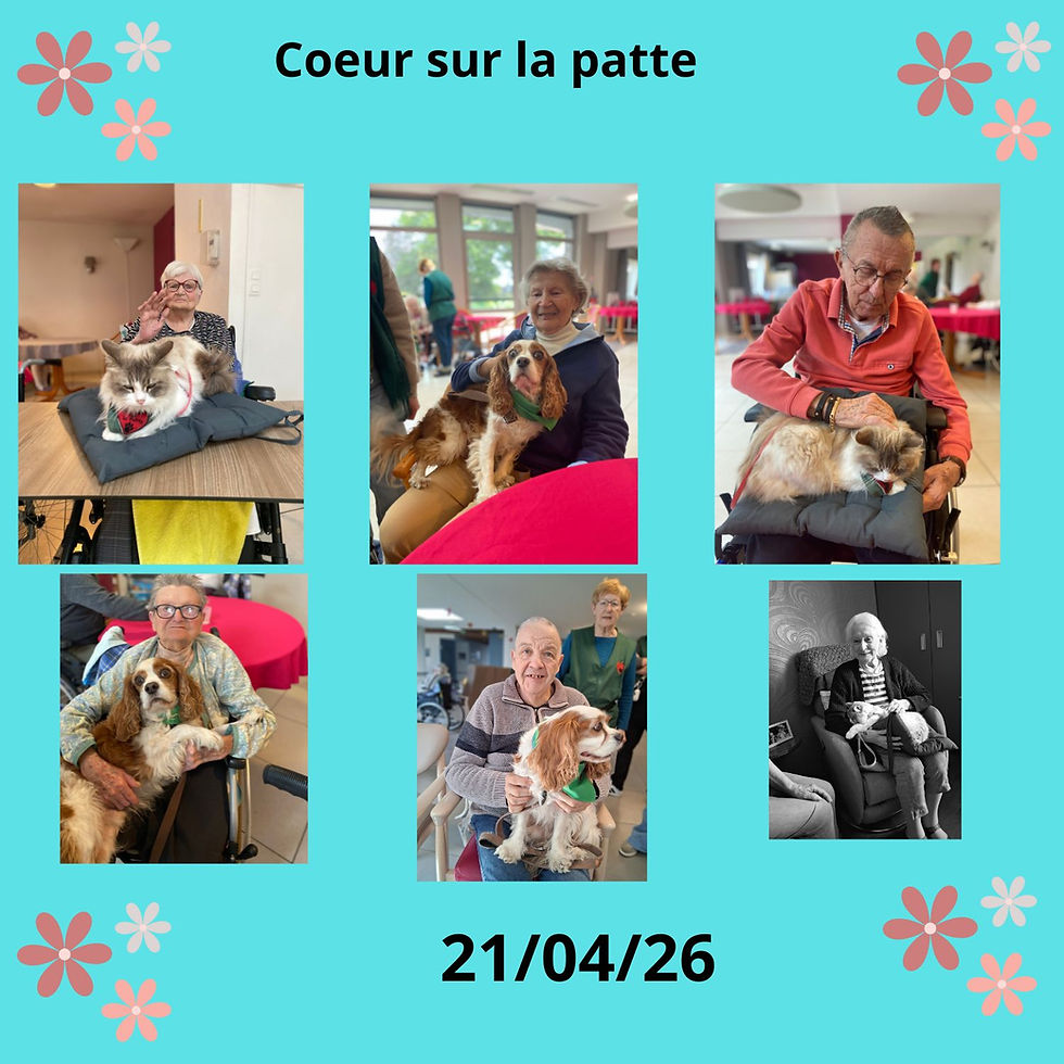 EHPAD Emile Dubois Marchiennes avec Merlin Maddie Nala Prince Nevy et Plume