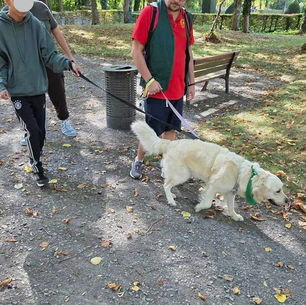 Belle promenade ensoleillée ce vendredi 2 oct après midi avec qq jeunes de l’IME Malécot de Lens accompagnés de Nala et de Tarek.