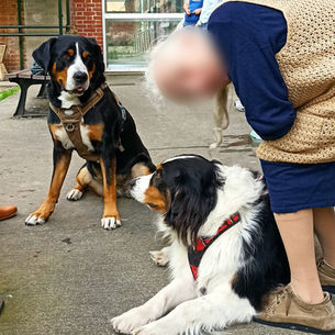 MOÏRA et RIVEN à l'EPSM d'Armentières