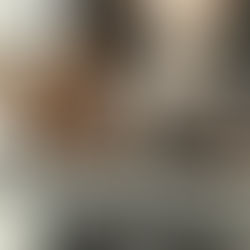 Ils étaient 4 pour cette grande structure où nous sommes toujours très bien accueillis.Pour le plus grand plaisir des résidents de l'Ehpad Porebski, étaient présents Sidonie,Uggy,Tarek et Night 