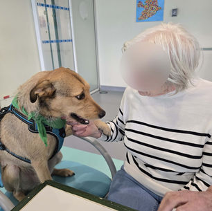 Ben, une présence qui apaise