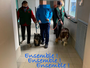 Twiggy, Coca et Happy à la Rive d’or de Noyelles-Godault Une après-midi de partage avec les résidents où la mémoire et les souvenirs ont été sollicités, et accompagnés de sourires à profusion 😊