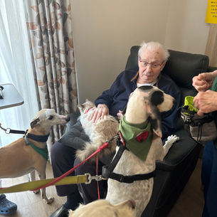 Résidence MERICI à St Saulve avec Maddie Rosalie Nevy et Plume