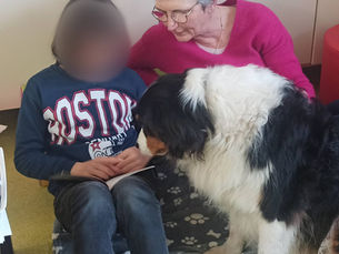 Séance LAC "Lire Avec le Chien" pour Moïra École Musy à HOUPLINES classe ULIS