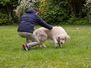 Quand l’animal aide à retrouver le lien
