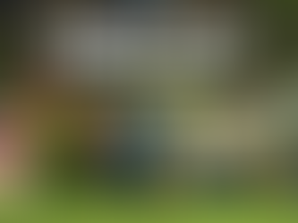 Roblox Games to Try Out Before 2026