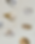 IMG_9514.PNG