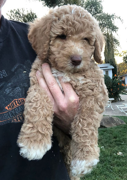 FullSizeRender (1).JPEG