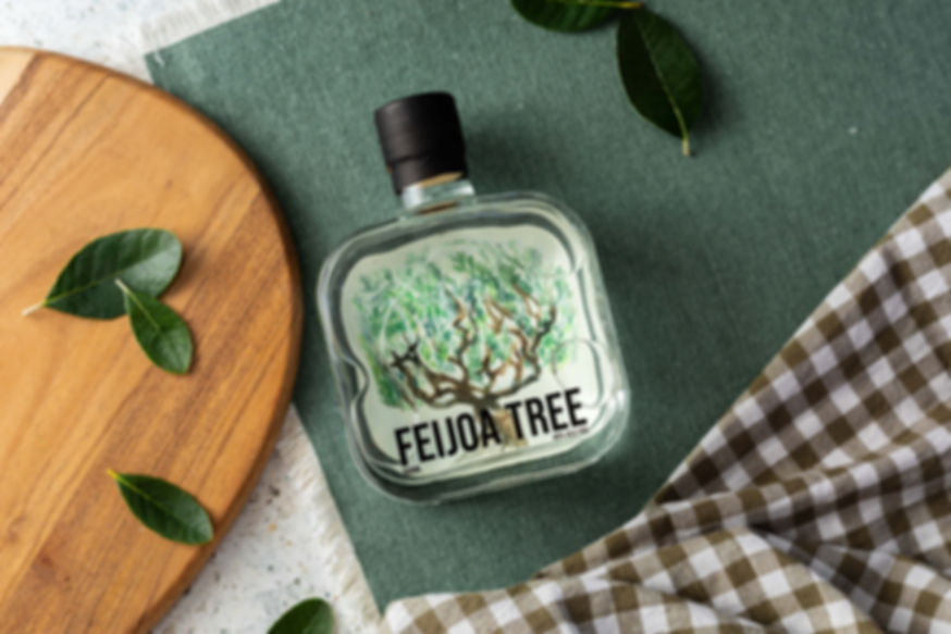 Feijoa Tree