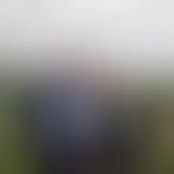 Kaikohe Berryfruit and T&G Fresh partner to expand berry operations