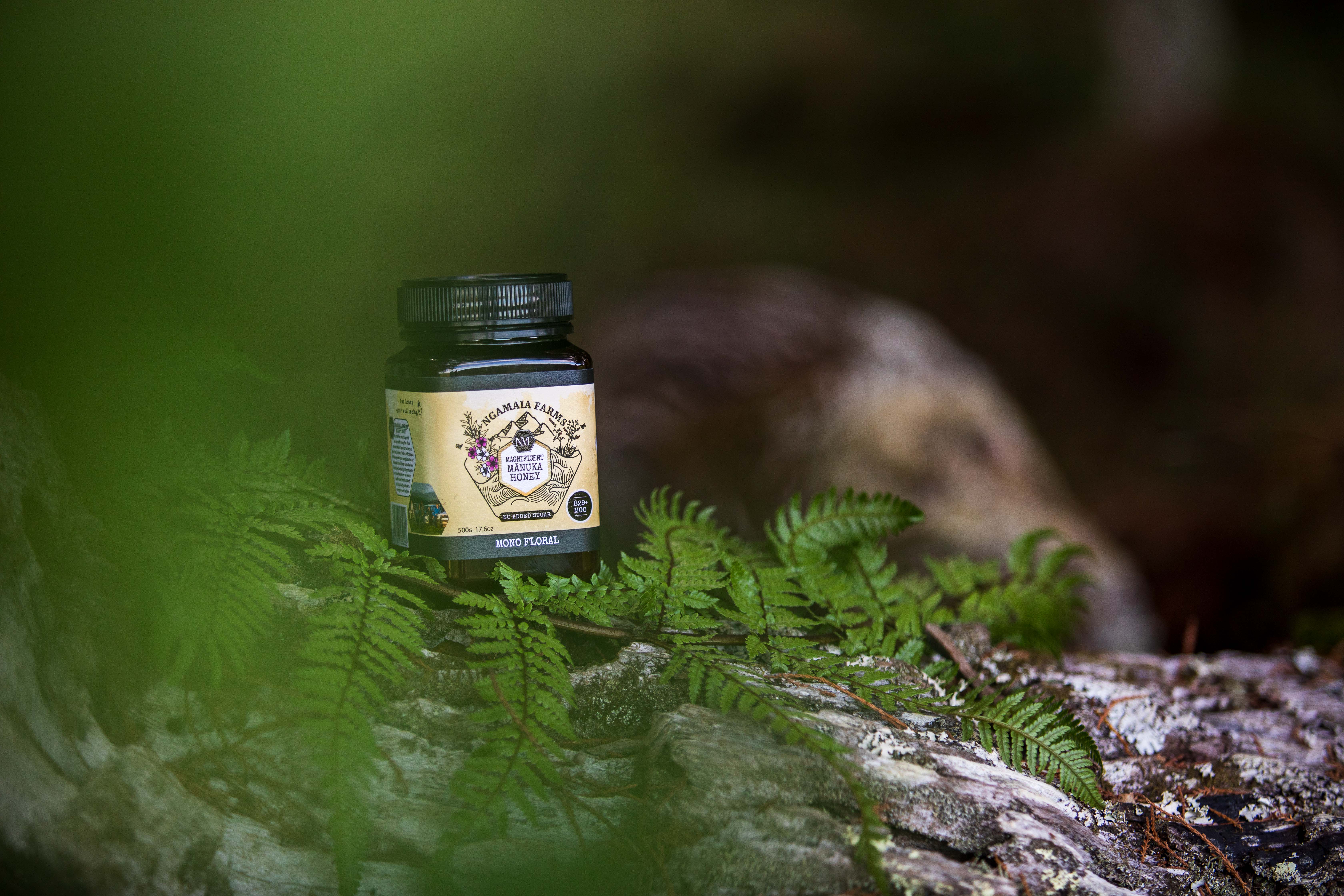 Lush New Zealand landscape with Manuka trees