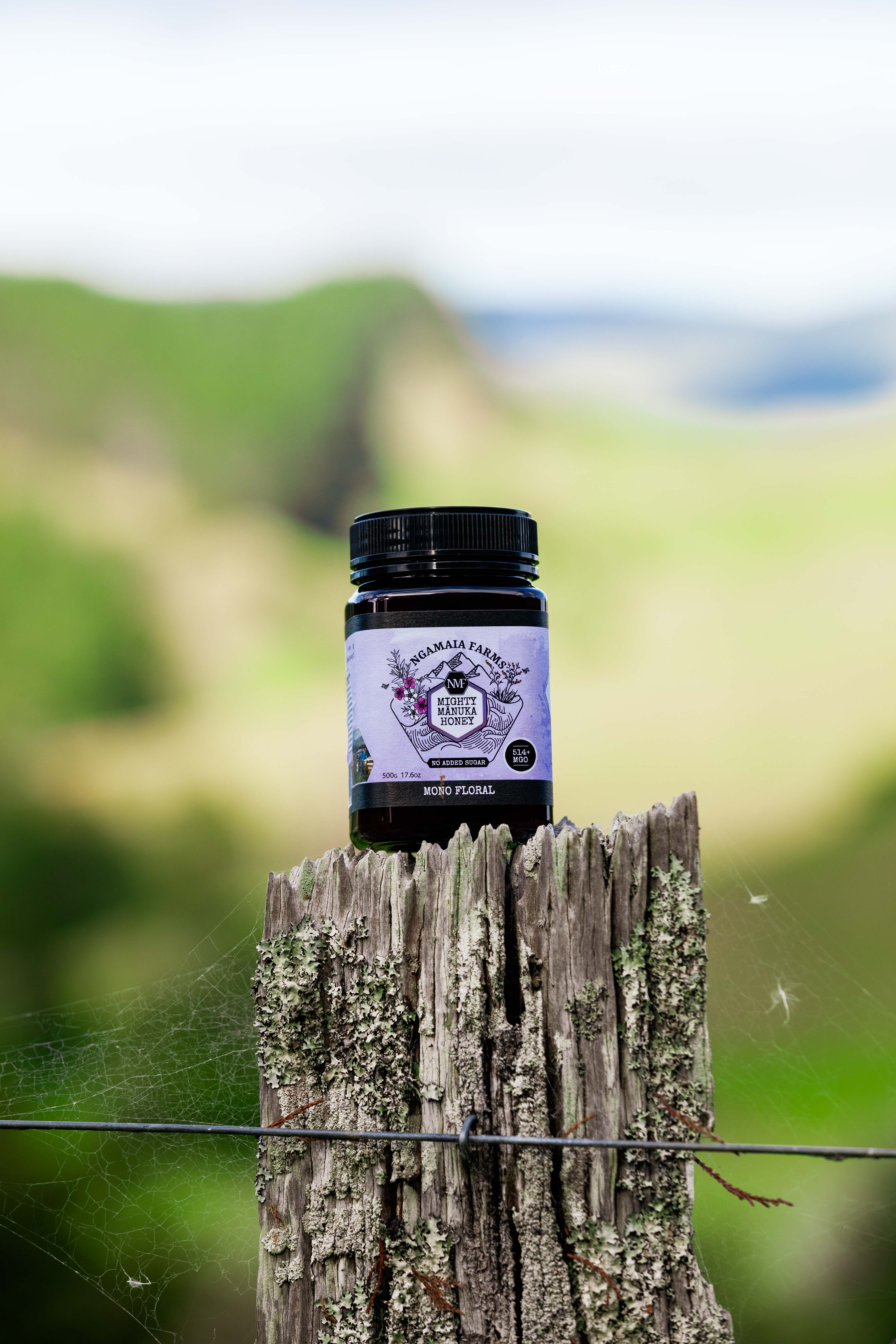 Manuka honey jar next to ginger and lemon