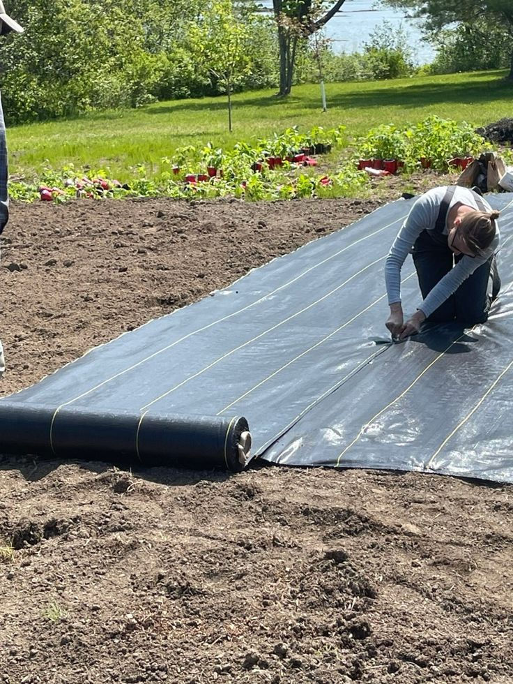 Laying down landscape fabric in a garden.