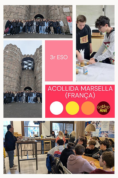 24-25 Mobilitats i intercanvis_page-0001 (11).jpg