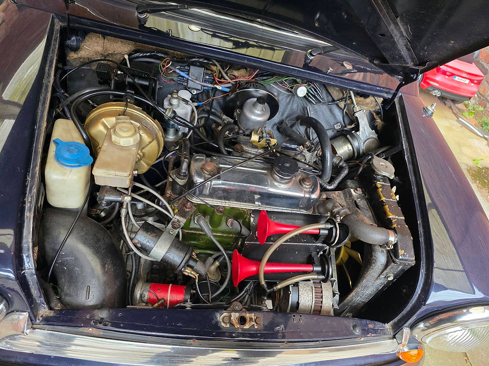 726970441_122204114264752614_1391727013980091774_n.jpg