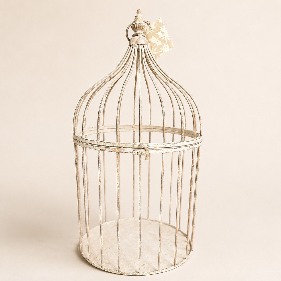 Bird Cage
