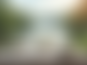 10 Irresistible Reasons Why Riverboat Cruises Will Transform Your European Travel Experience