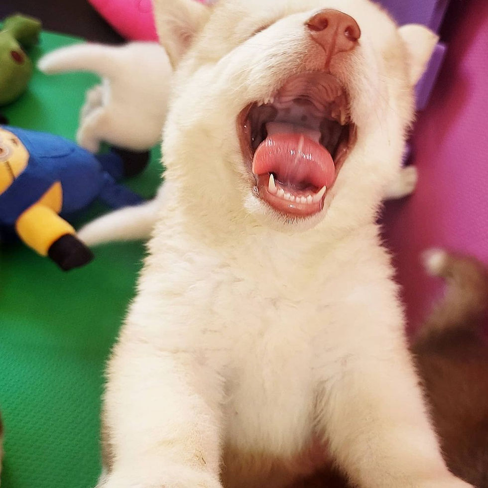 Que braveza hem!!!🐾🐾