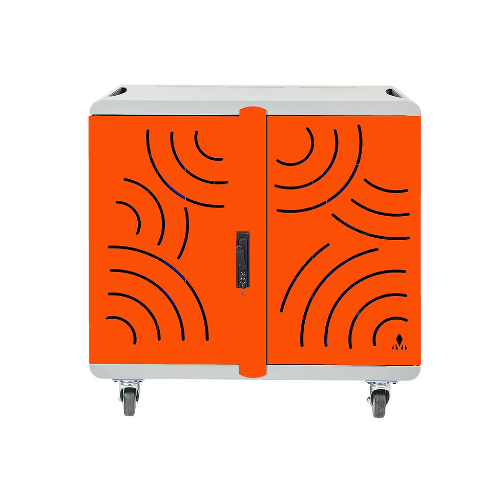 CARROS CARGA Y TRANSPORTE