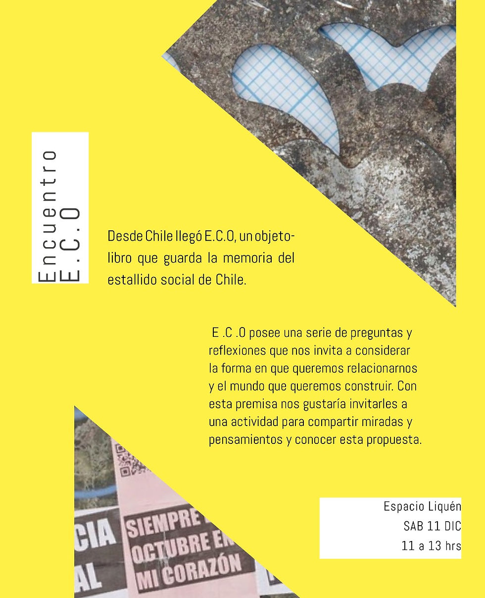 Encuentro E.C.O - Espacio Liquén - Zoncuantla