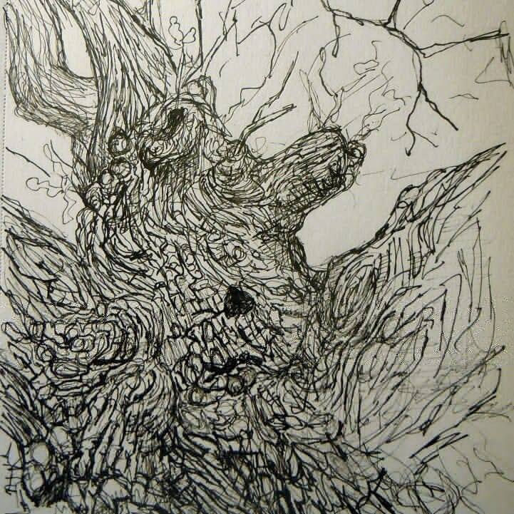 Sketchbook Trees