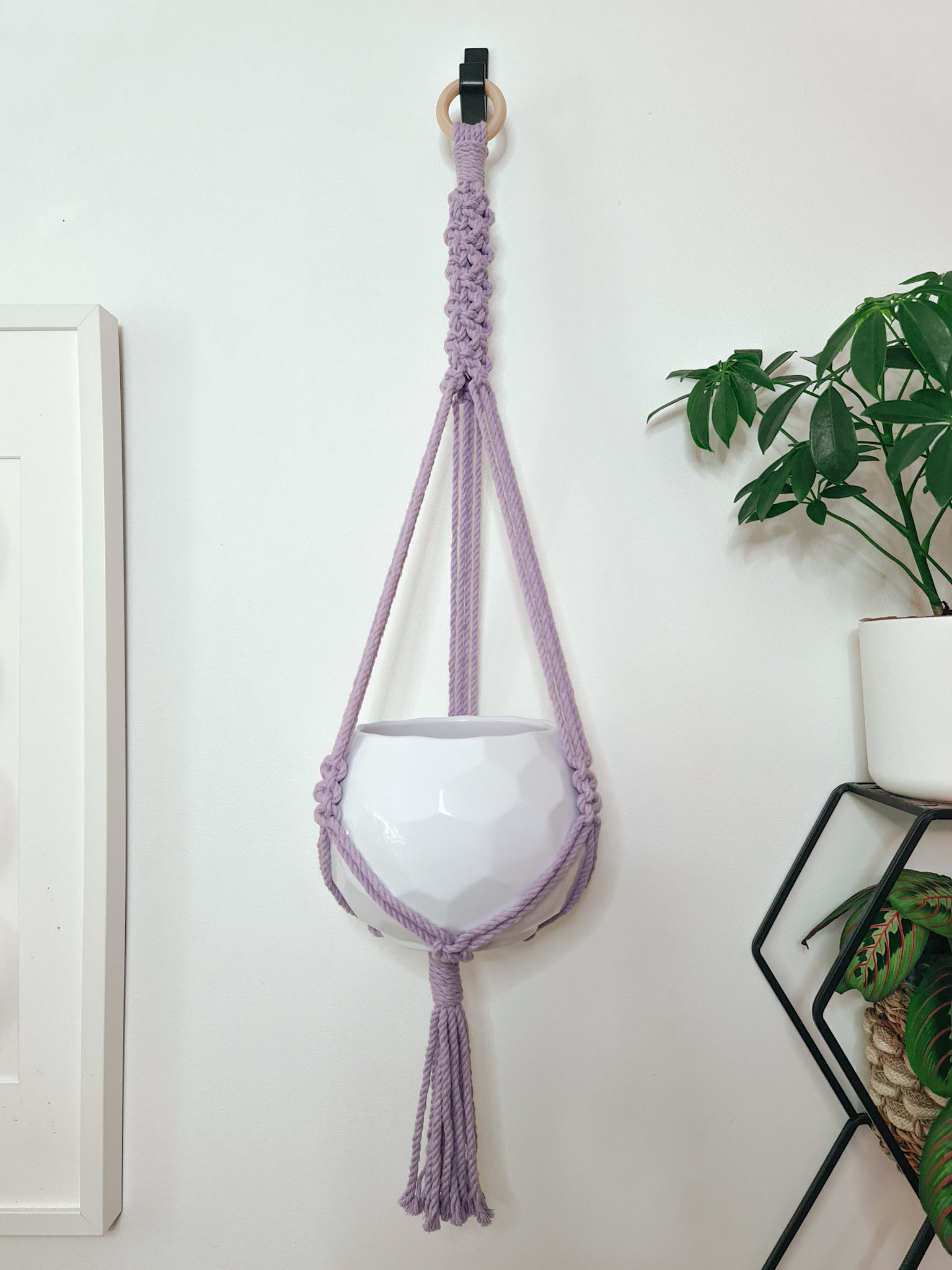 Rak Plant Hanger - Lavender