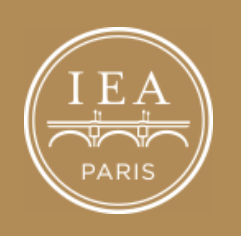 Matti La Mela presents at IEA Paris