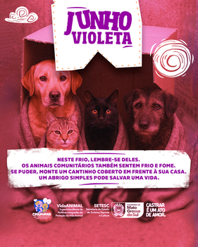 Junho Violeta!