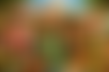 Holiday Gifts - Unwrap New Features at Eaco