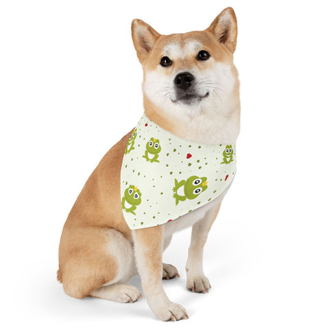 Style and Comfort for Your Furry Friend