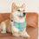 Thumbnail: Colorful Preppy Plaid Pet Bandana | Adjustable Dog Collar & Gift