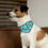 Thumbnail: Floral Pet Bandana Collar – Cute Adjustable Dog Accessory & Gift for Dog Lovers