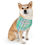 Thumbnail: Colorful Preppy Plaid Pet Bandana | Adjustable Dog Collar & Gift