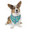 Thumbnail: Floral Pet Bandana Collar – Cute Adjustable Dog Accessory & Gift for Dog Lovers
