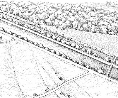 ChatGPT Image 25_edited_edited.jpg