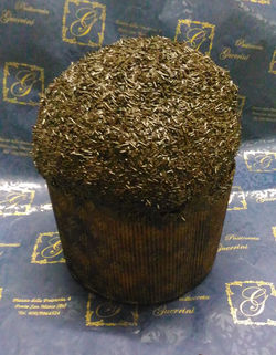 Panettone al cioccolato
