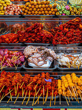 VIETNAM: PEOPLE AND LANDSCAPE 2026