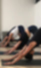 Downward dog