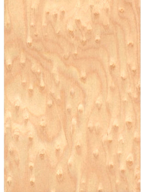 Close up of beautiful maple wood grain texture, for cabinets, neutral tones.