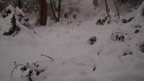 23 - Deuxième Hiver, neige et isolation