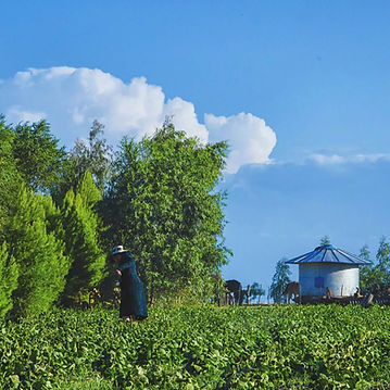 WhatsApp Image 2019-04-27 at 15.45.41.jp