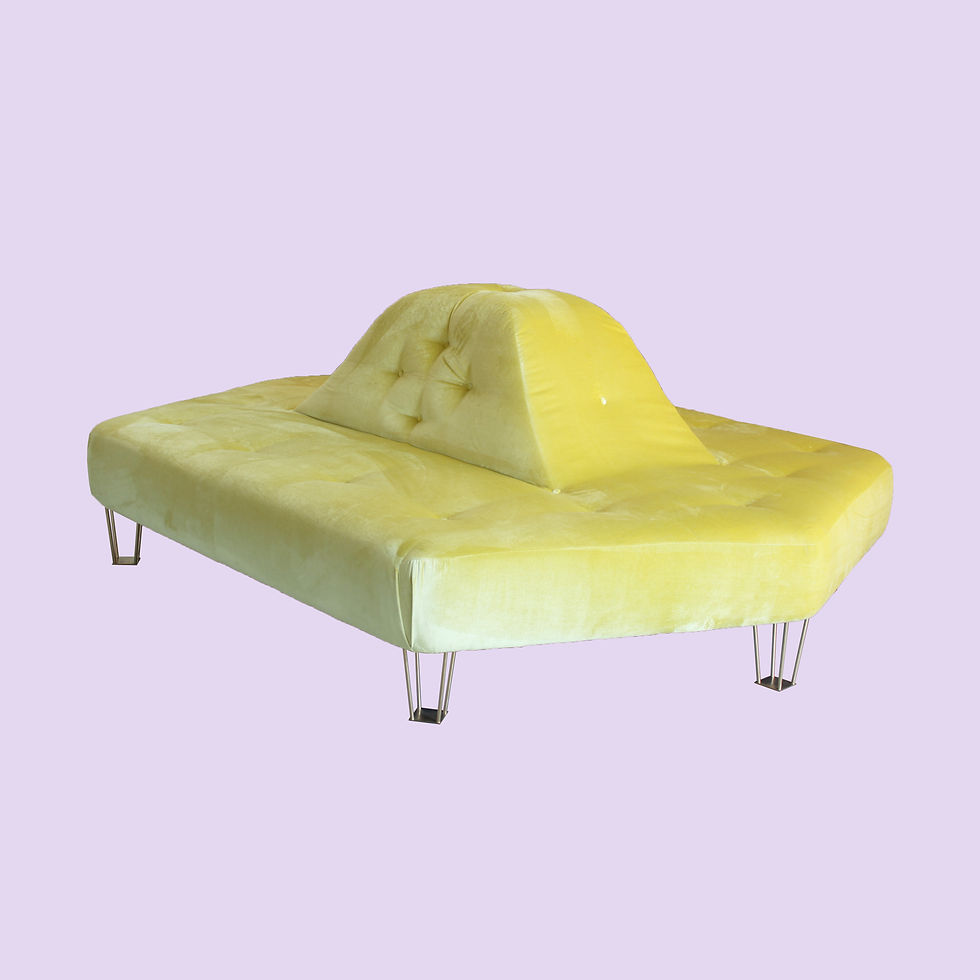 Salon Pouff