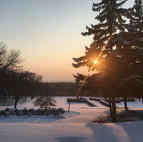 IMG_7895.jpeg