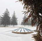 IMG_7974.jpeg