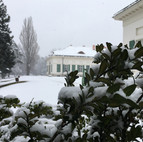 IMG_7729.jpeg