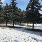 IMG_7520.jpeg